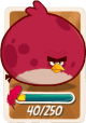 Terence