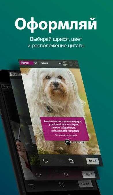 screen696x696 2