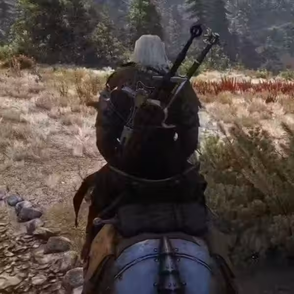 witcher 3 22