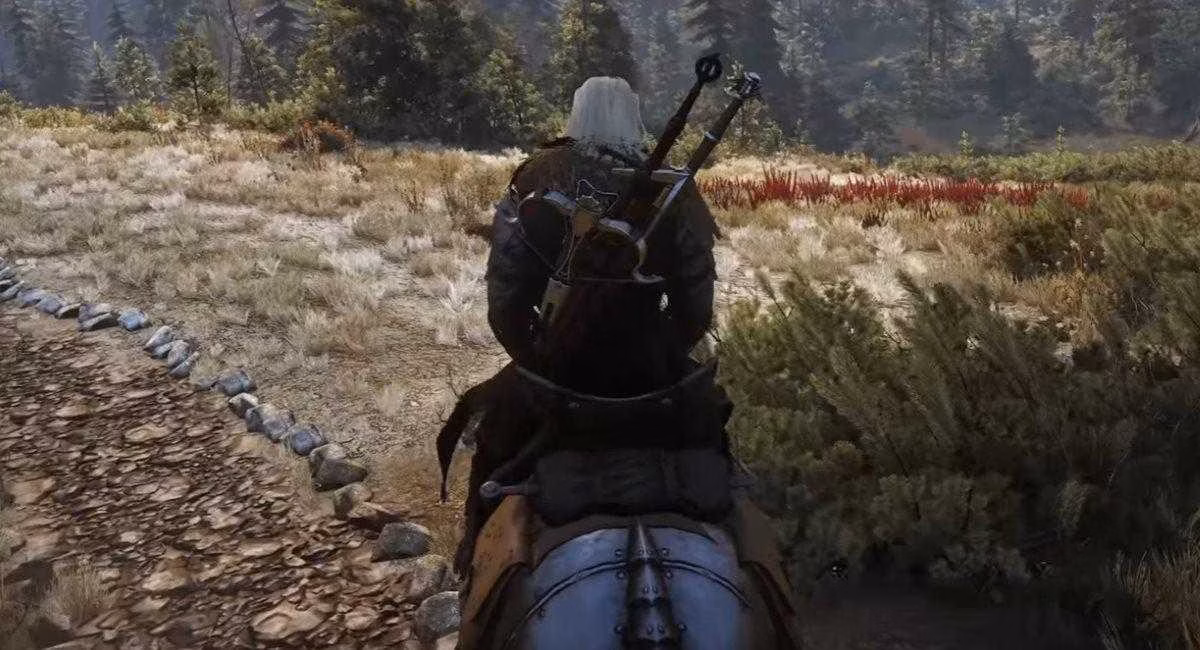 witcher 3 22
