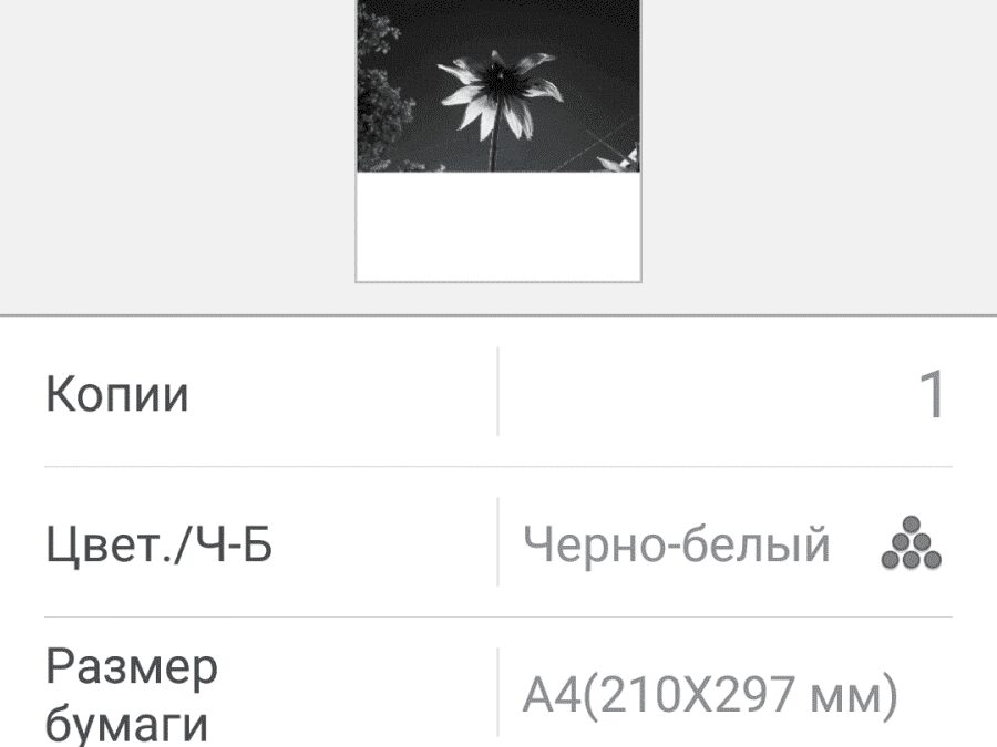 Облако с настройками печати на принтере Ricoh SP 450DN