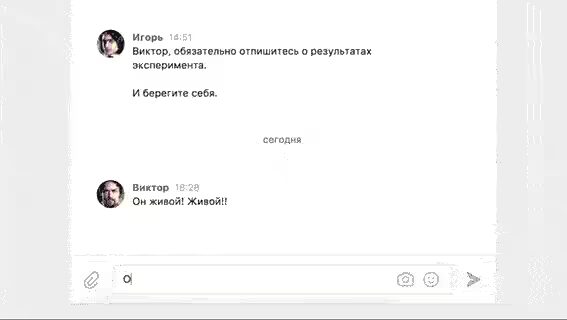 Открытый чат Вконтакте с анимированными стикерами на экране