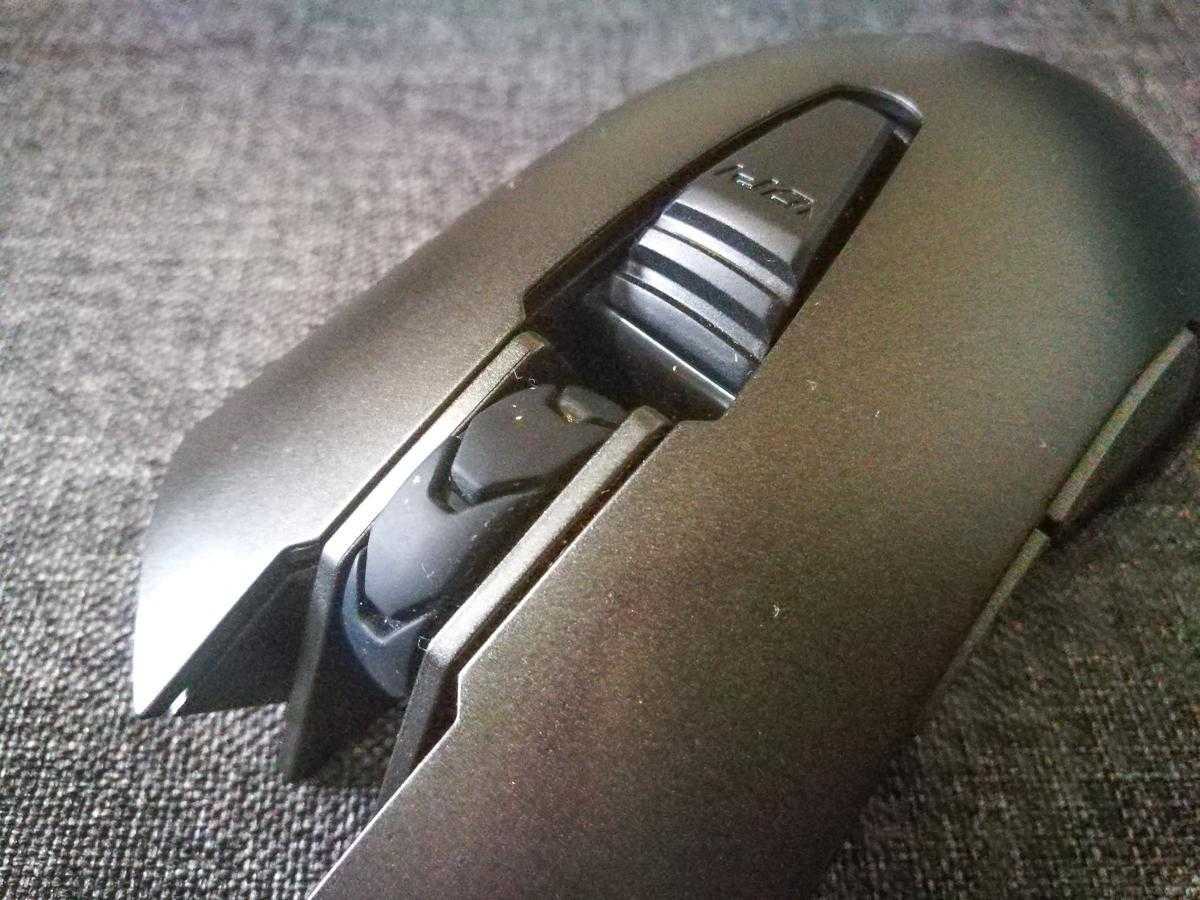 Cougar Revenger