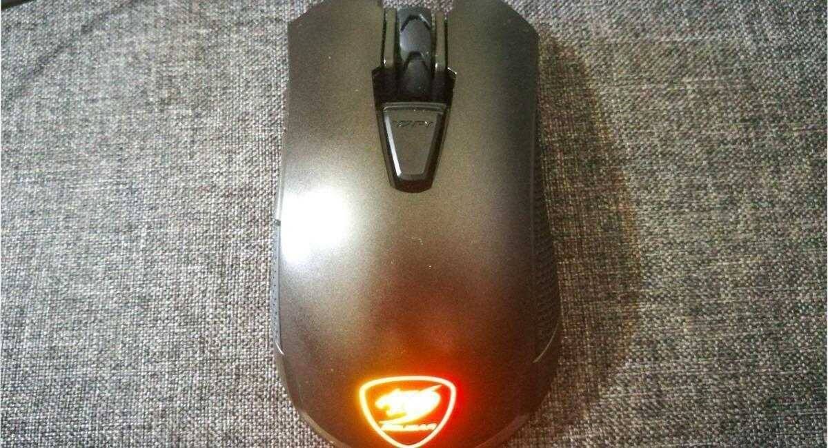 Cougar Revenger