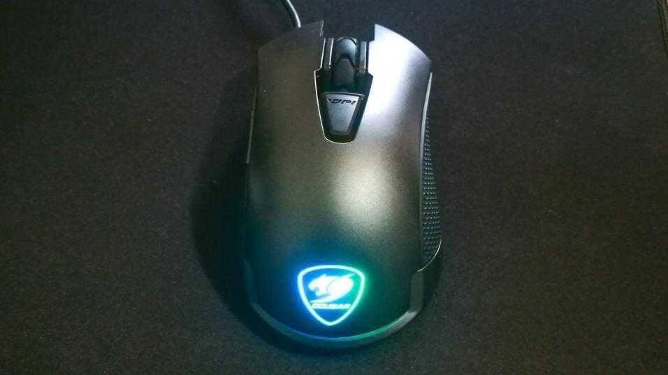 Cougar Revenger