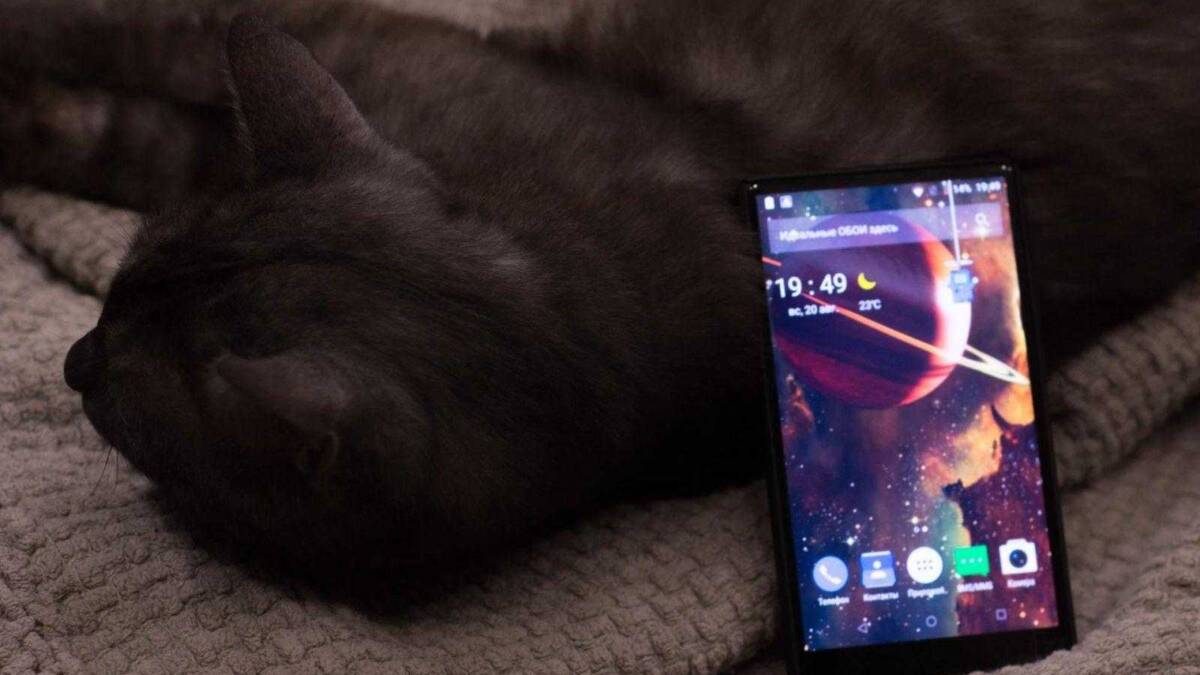 Черный кот спит на одеяле рядом с смартфоном на Android 9.0 Pie
