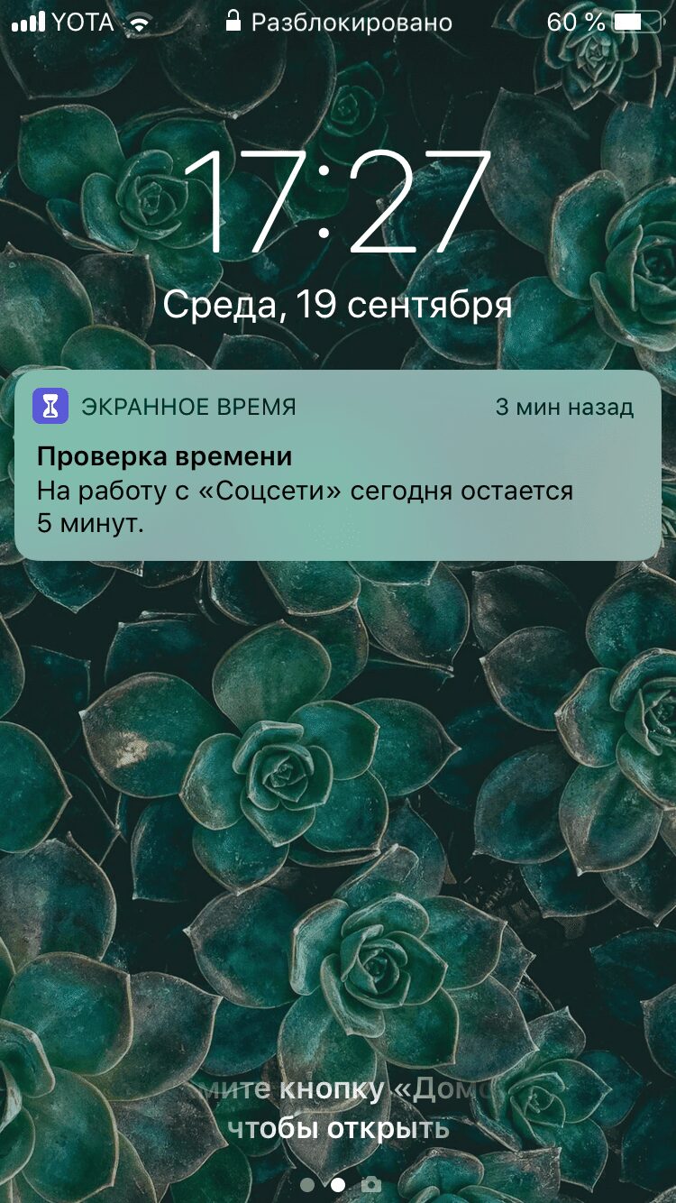Производительность, а не дизайн: обзор Apple iOS 12 для iPhone 22 Экран телефона показывает уведомление о проверке времени работы с приложением соцсети