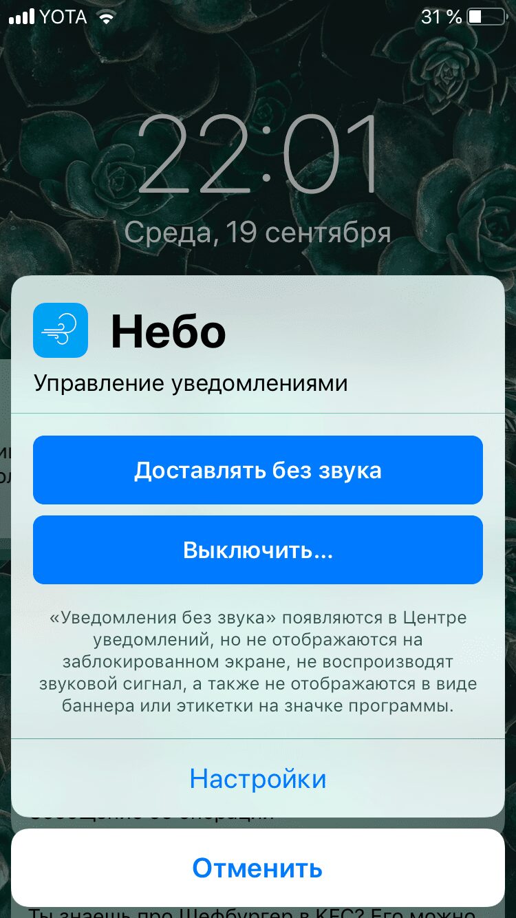 Производительность, а не дизайн: обзор Apple iOS 12 для iPhone 17 Экран iPhone с уведомлением о беззвуковых уведомлениях на фоне цветочного изображения