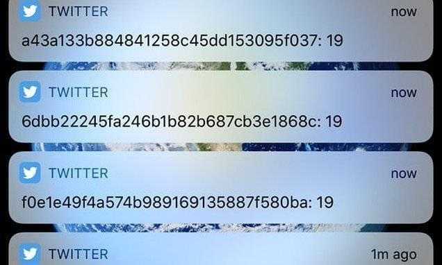 5100238 0 image a 13 1539712728339