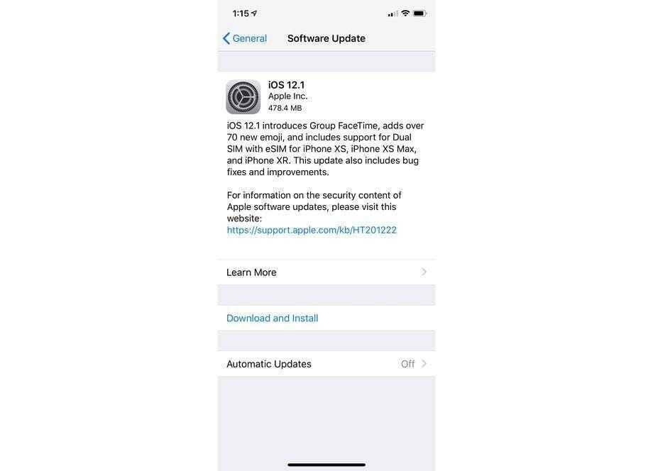 Экран обновления iOS 12.1 на айфоне, раздел программного обеспечения