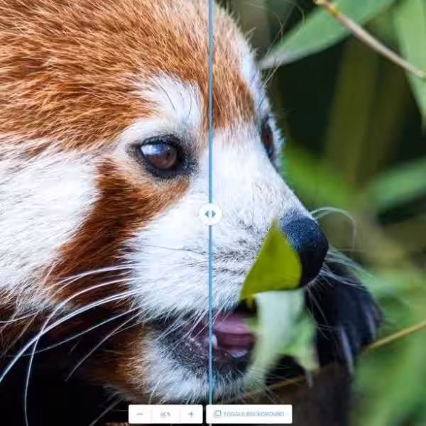 screenshot 89 .0.png