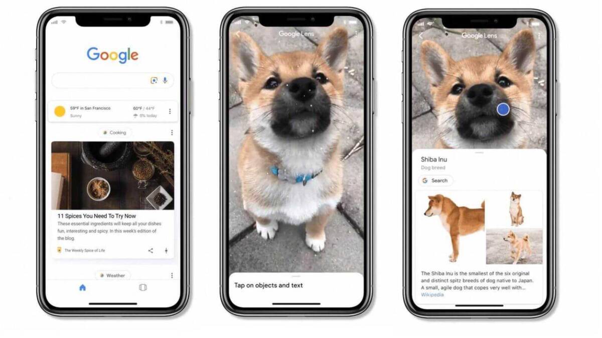 Экран iPhone с интерфейсом Google Lens для распознавания собак и объектов