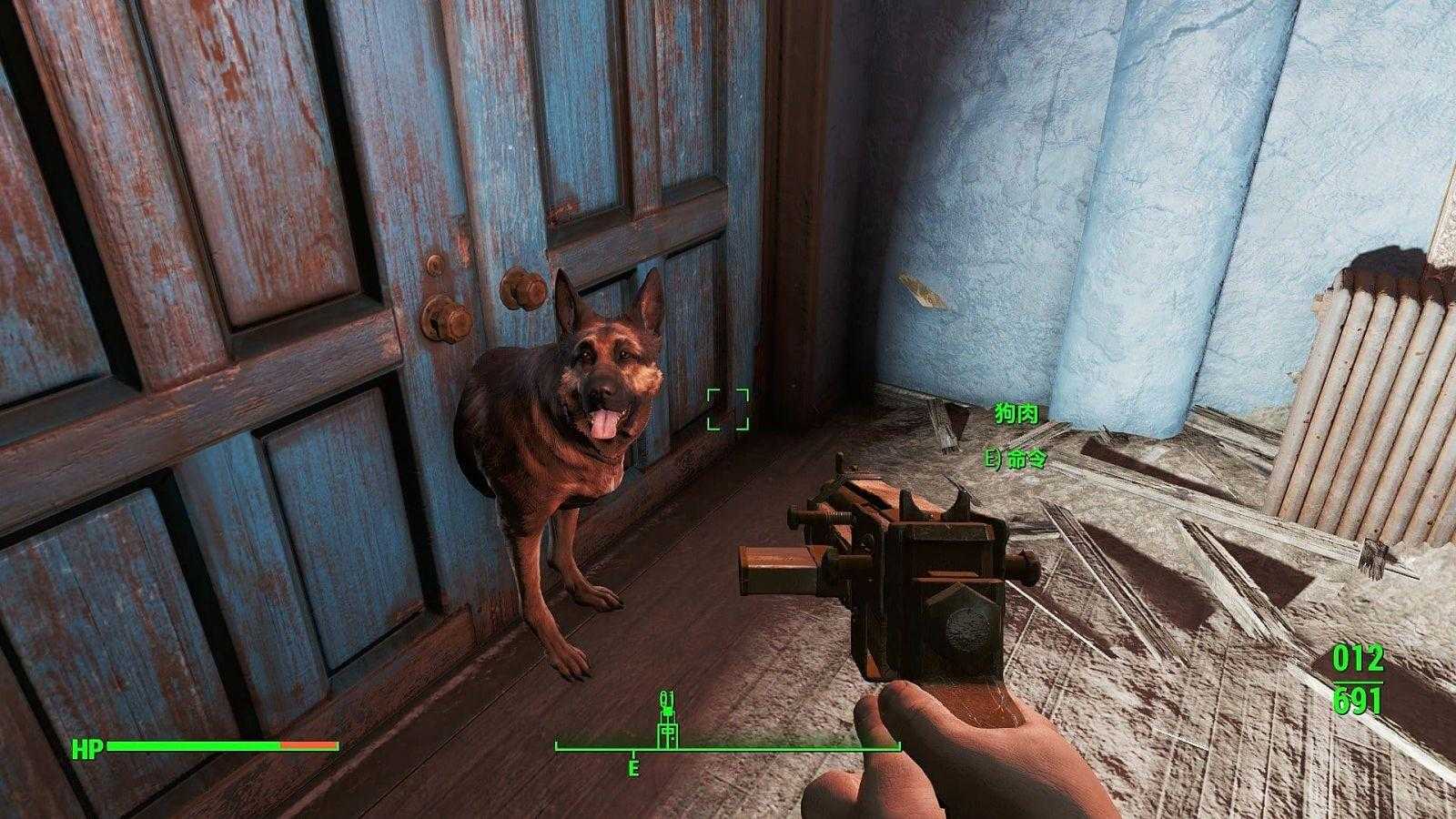 dog bug 92ed7