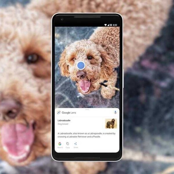 google lens dog 1.0.png