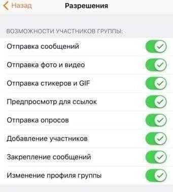 Настройки разрешений группового чата в Telegram на мобильном устройстве