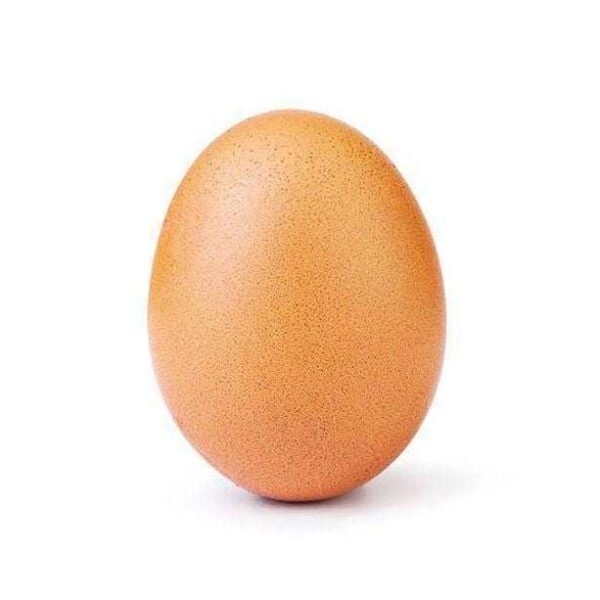 instagram egg.0 2