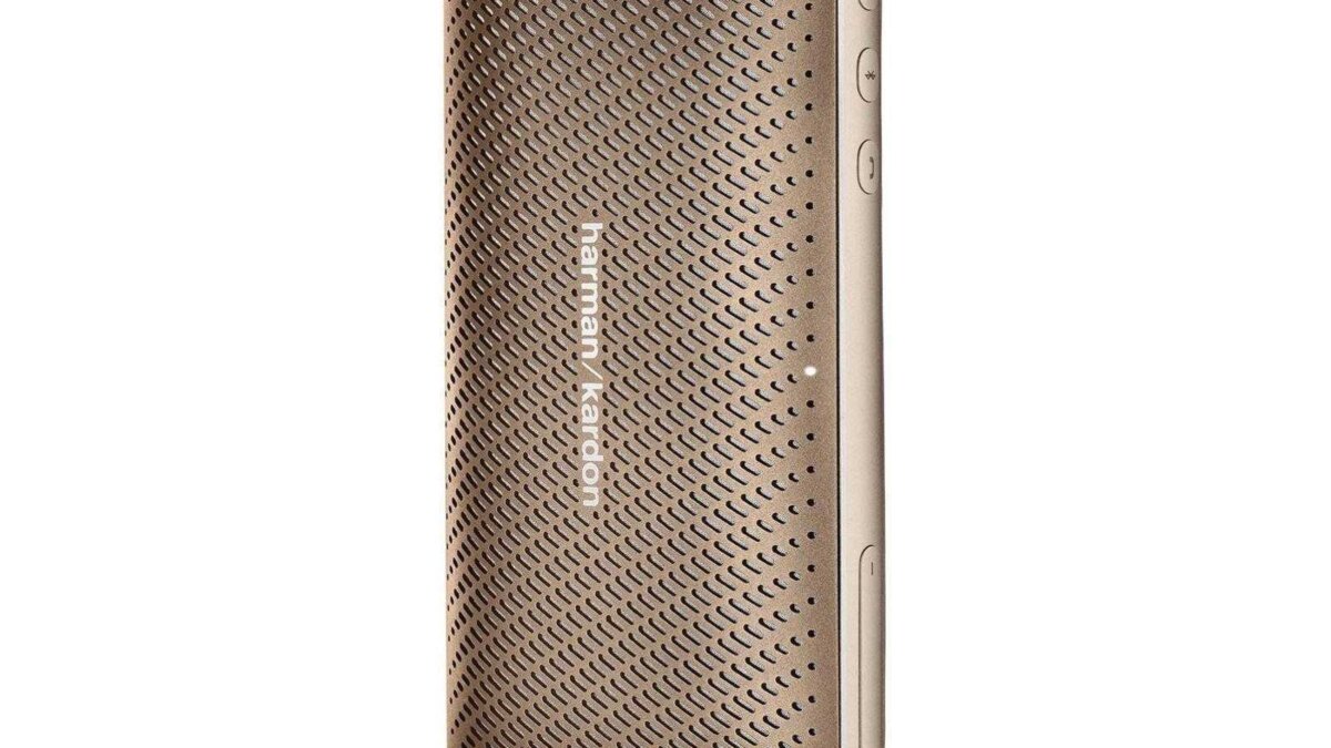 hk esquiremini2 suspend copperbrown