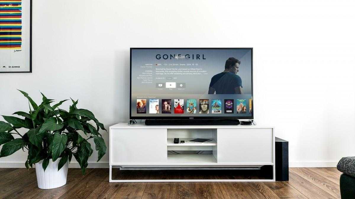 Ошибка Android TV показывает аккаунты десятков незнакомцев 3 tv television plant media center indoor 45791.jpgd