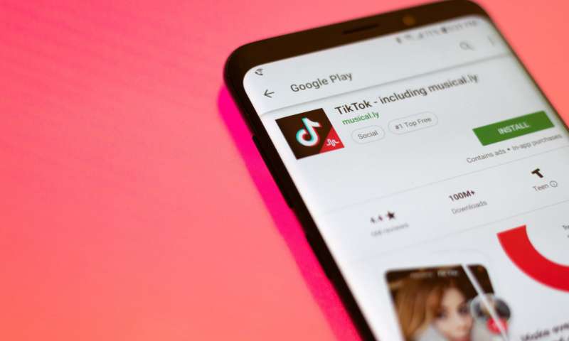 TikTok удаляет контент про криптовалюту 3 tiktokthewor