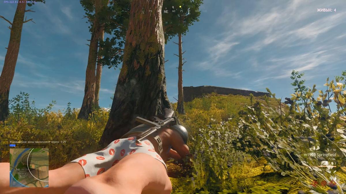 cuisine royale 11