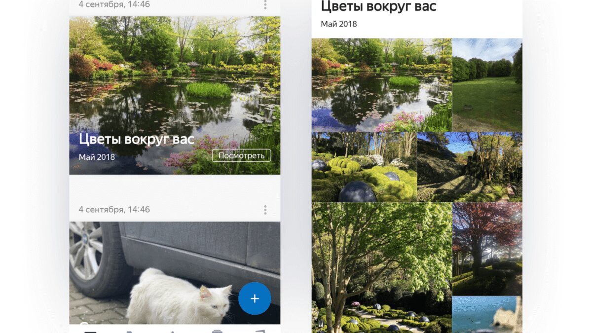 "Умная фотогалерея" — новая функция для "Яндекс.Диск" 7 96c17485c2f99704702b3f58b11ee500338b60c5