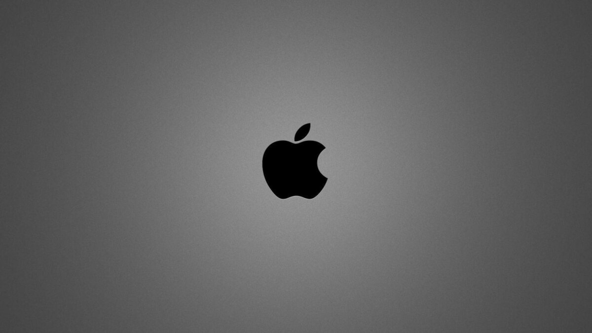 Фил Шиллер, Apple: слот для SD-карт, HDMI и USB никогда не вернутся в MacBook 2 apple brushed metal