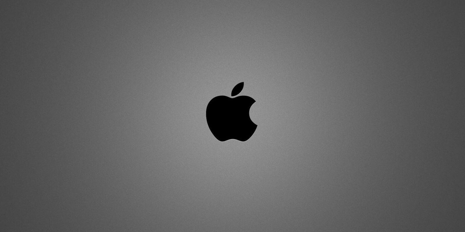 Фил Шиллер, Apple: слот для SD-карт, HDMI и USB никогда не вернутся в MacBook 2 apple brushed metal
