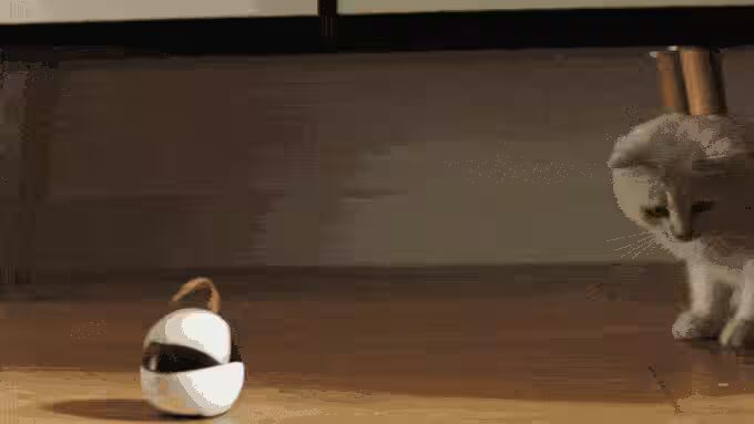 38f935440c1b423ed02dc024697801c6 original