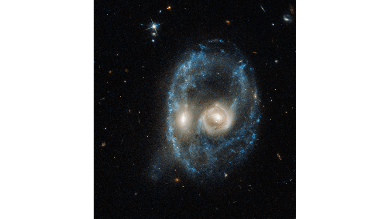 Космические итоги 2019 года 12 stsci h p1951a d 1280x720 1