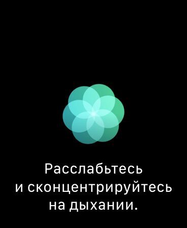 Экран с круглым логотипом и текстом