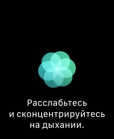 Экран с круглым логотипом и текстом