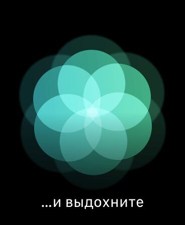 Градиентные цветные круги с текстом