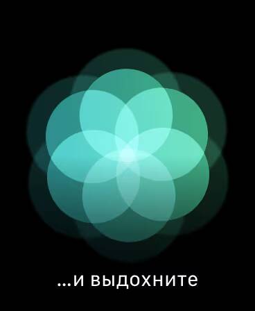 Градиентные цветные круги с текстом
