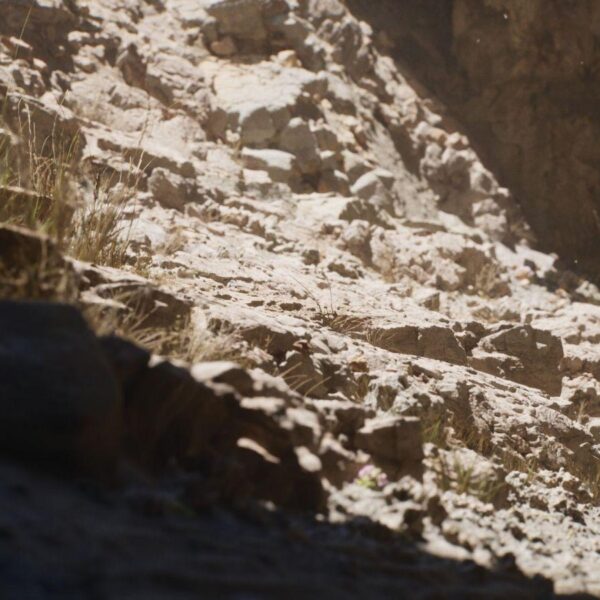 unreal engine 5 inanilmaz grafikler 5720 2 scaled 1