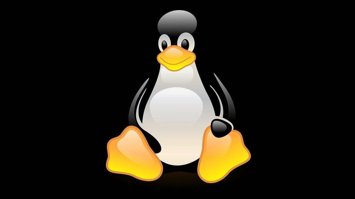 SpaceX рассказала о программной начинке ракеты Falcon 9 4 Иллюстрация логотипа Linux с изображением пингвина Туфи