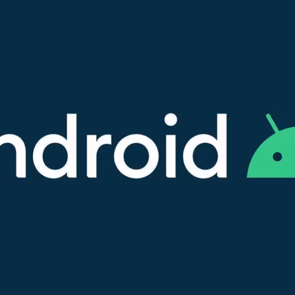 googles giant mistake allows some pixel 4 xl users to install the first android 11 beta