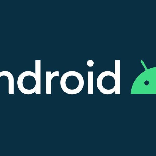 googles giant mistake allows some pixel 4 xl users to install the first android 11 beta