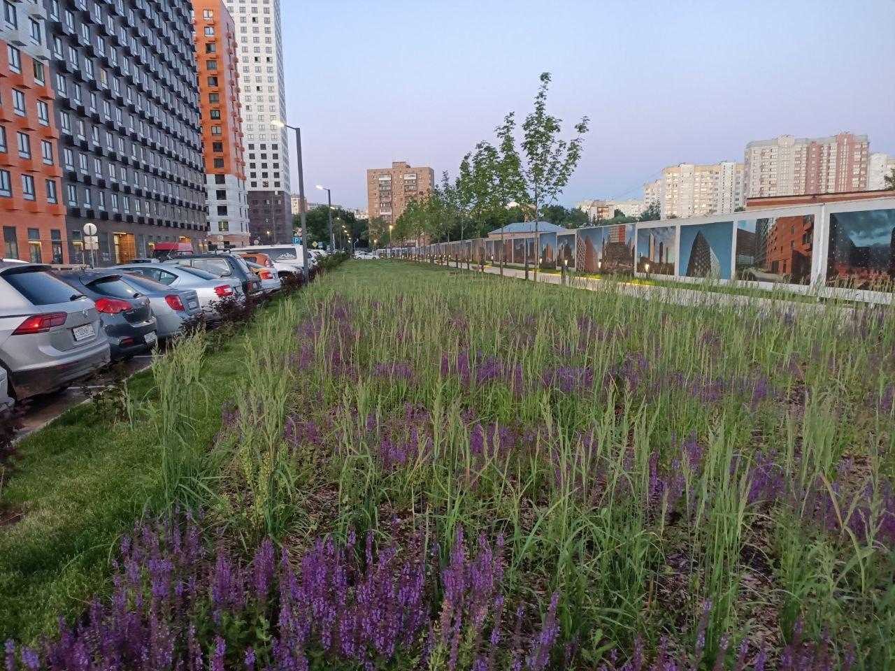photo 2020 07 05 16 16 10