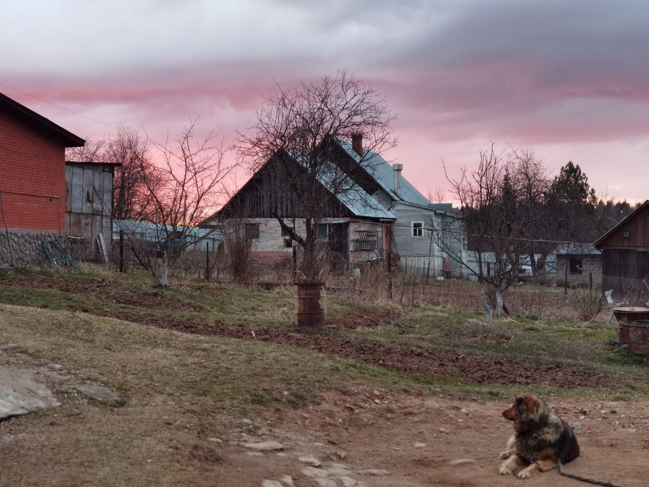 Флагманский камерофон. Обзор Huawei P40 Pro 36 photo 2020 07 22 12 05 57 2
