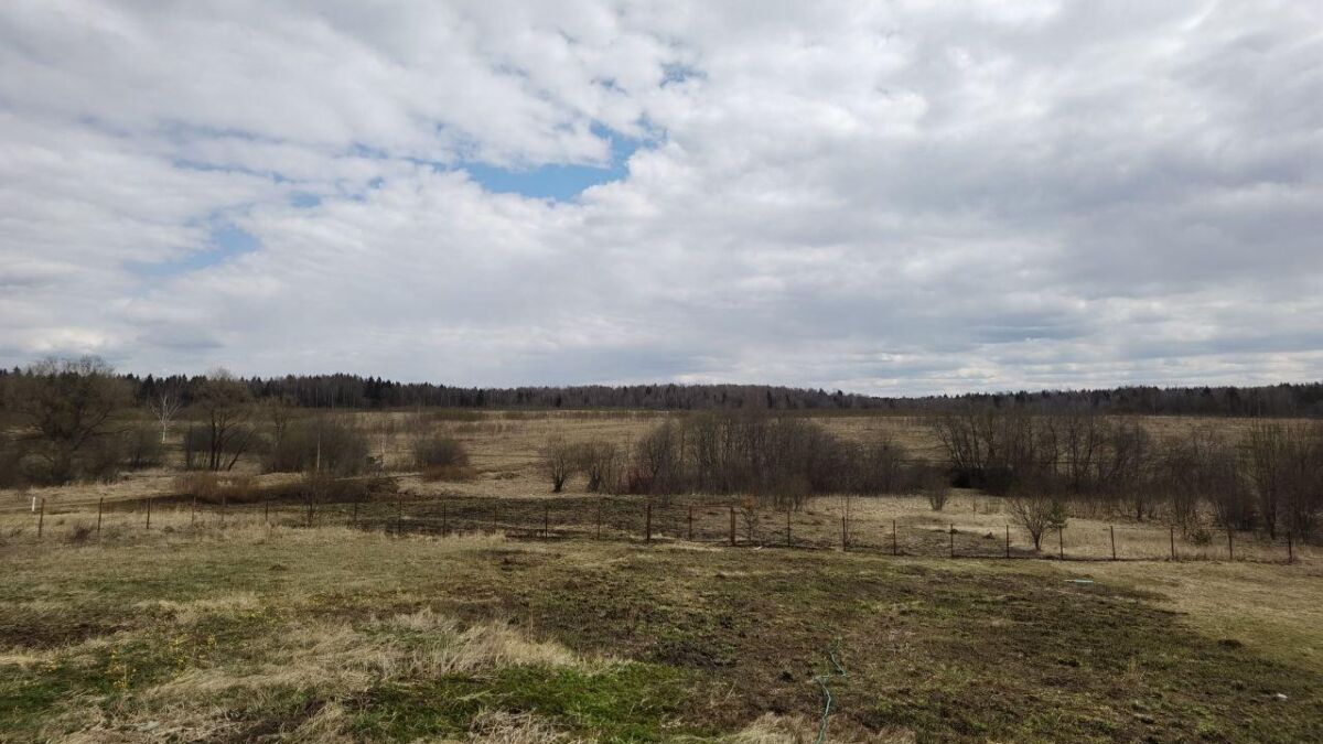 Панорама открытого поля с облачным небом и деревьями