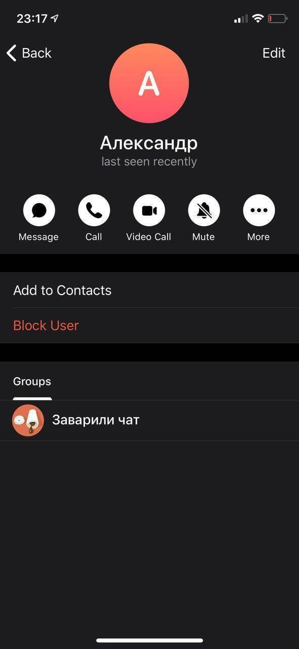 Экран контакта Александра с именем и статусом последний раз онлайн