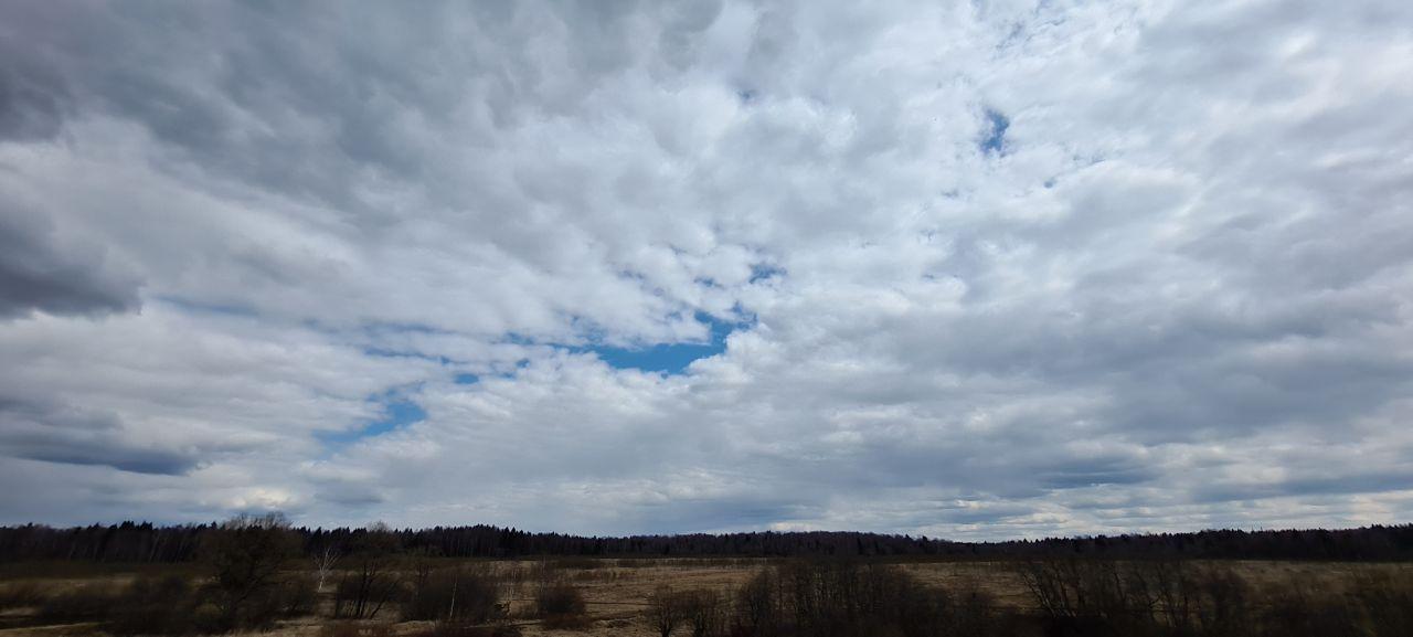 photo 2020 07 31 10 47 34