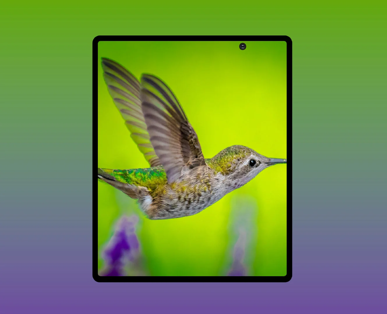 Samsung Galaxy Fold 2 прошёл сертификацию 3C 3 samsung galaxy fold 2 render 1