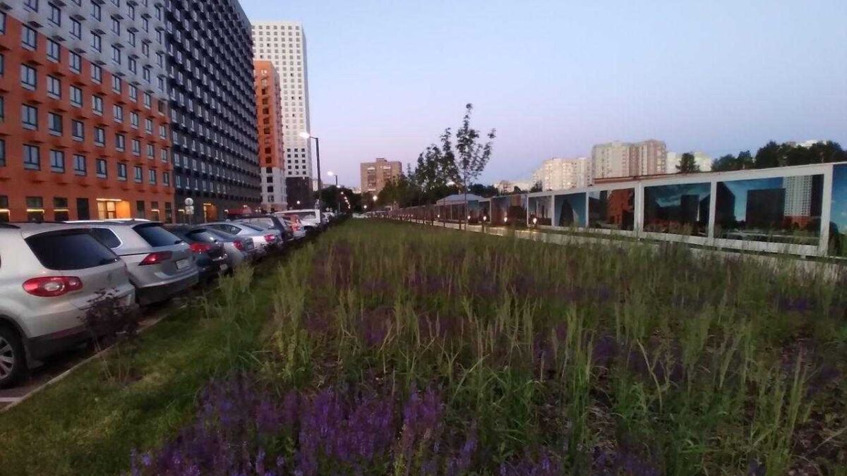 Парковка и многоквартирные дома на фоне вечернего неба