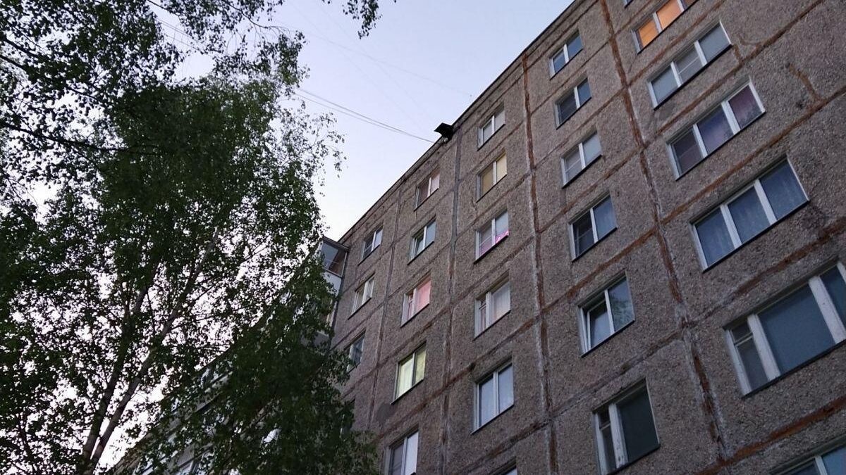 Обзор Vivo V17: хороший смартфон