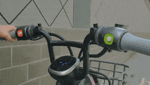 segway emoped c80 3