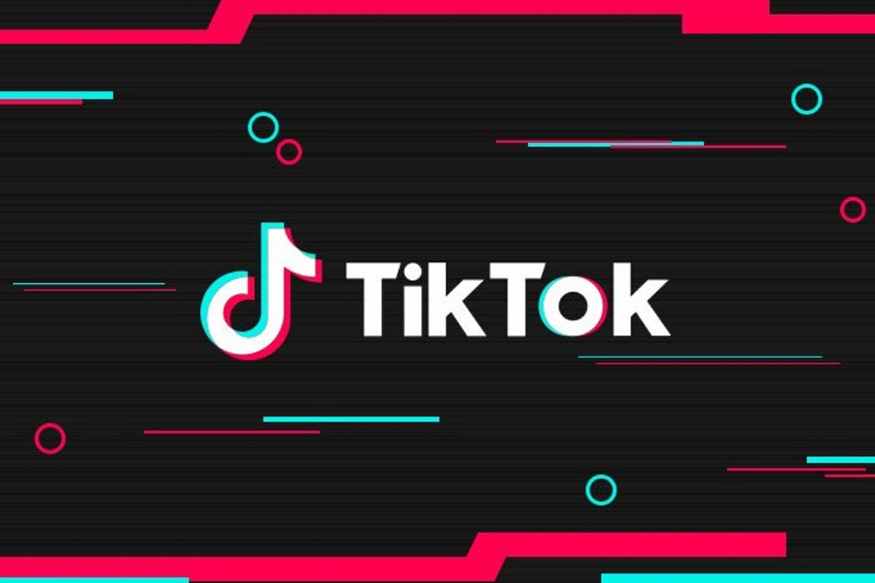 Американский cуд отложил блокировку TikTok в США 3 tiktok 1 1