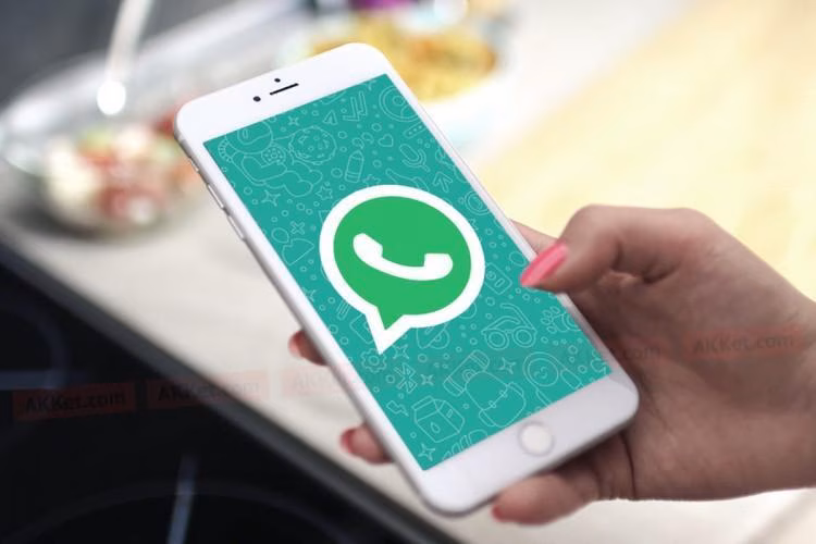 В веб-версии WhatsApp появятся видеозвонки 3 22