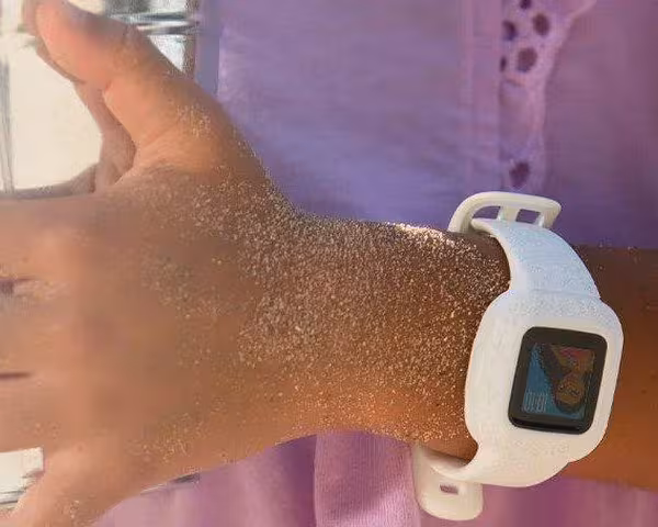 Garmin