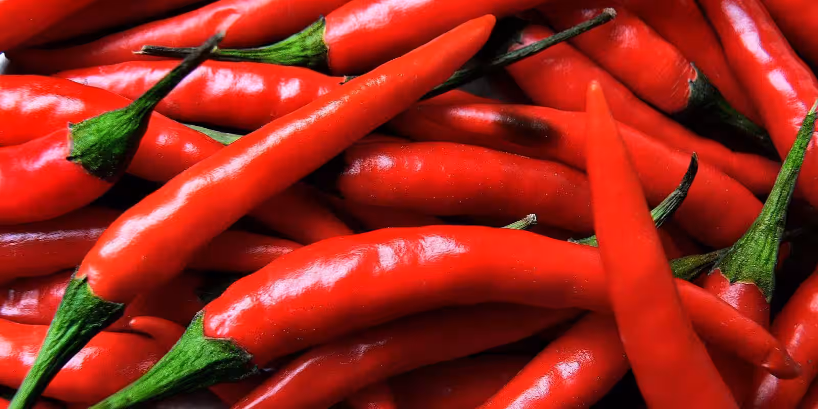 Инженеры создали гаджет для определения остроты перца 1 Food Differring meal Chili 030800